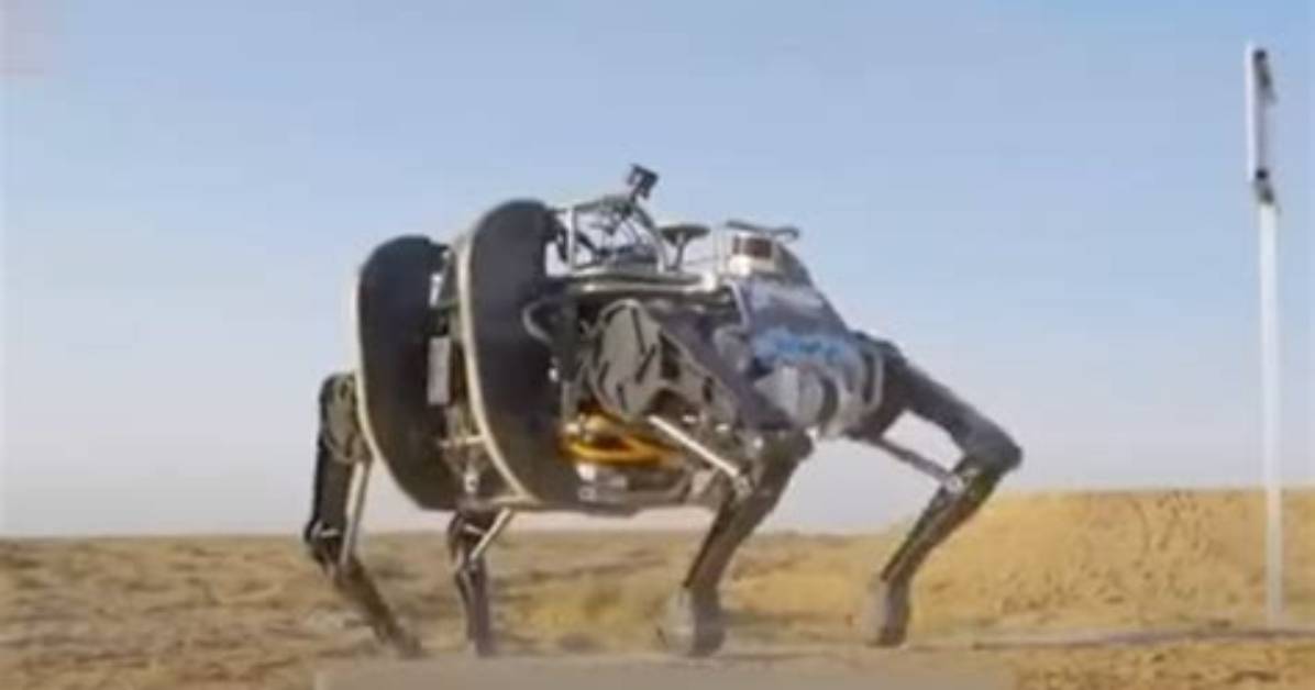 Which Is the Largest Quadruped?