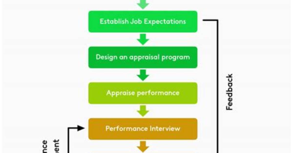 Which Is the Performance Appraisal System?