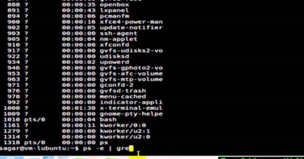 Which Is the Process Id in Linux?