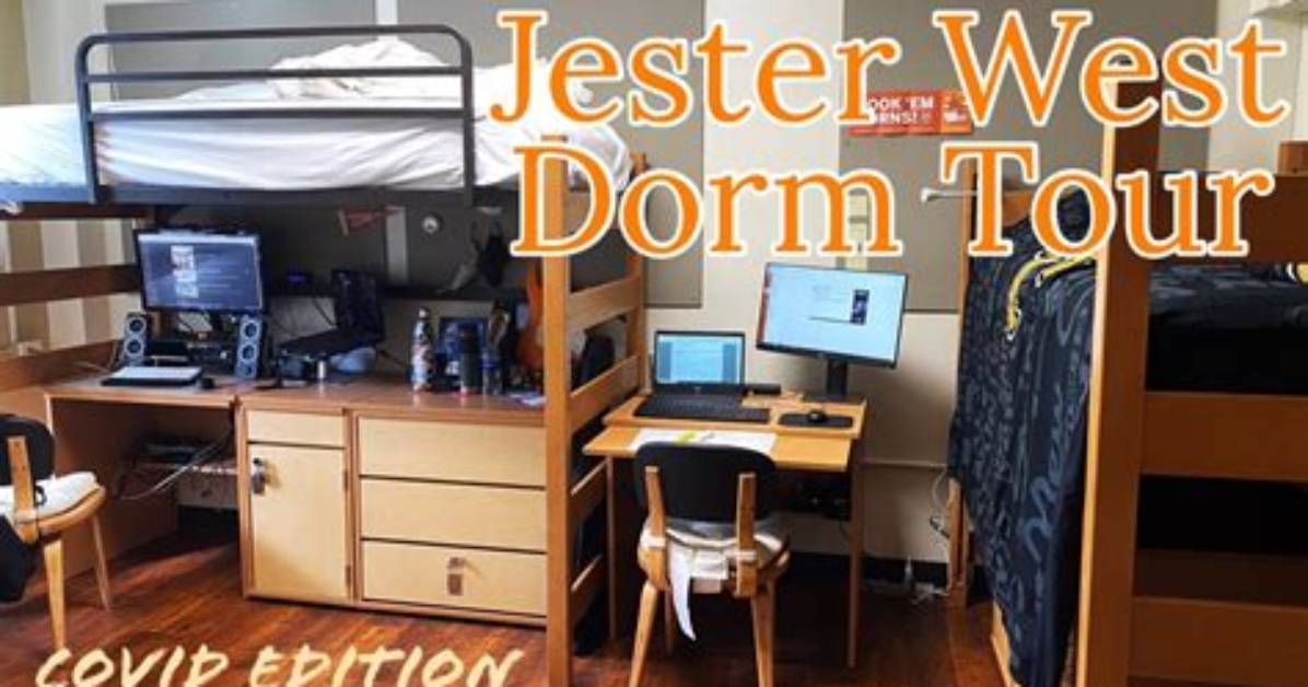 Which Jester Is Renovated?