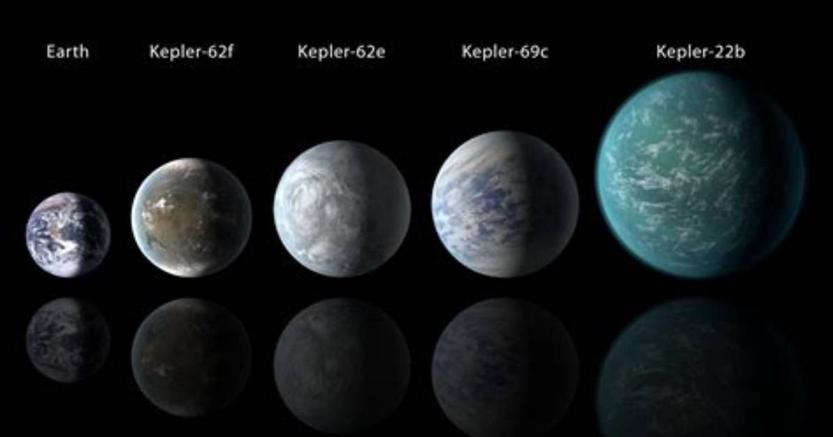 Which Kepler Is Habitable