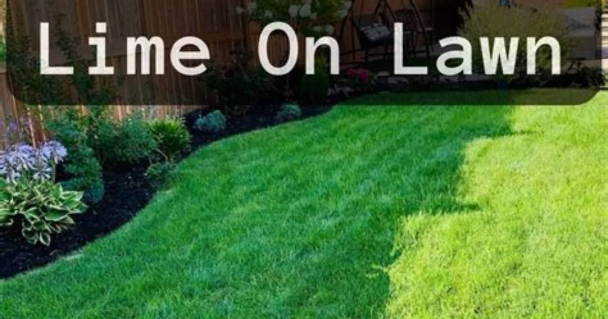 Which Lime for Lawns?