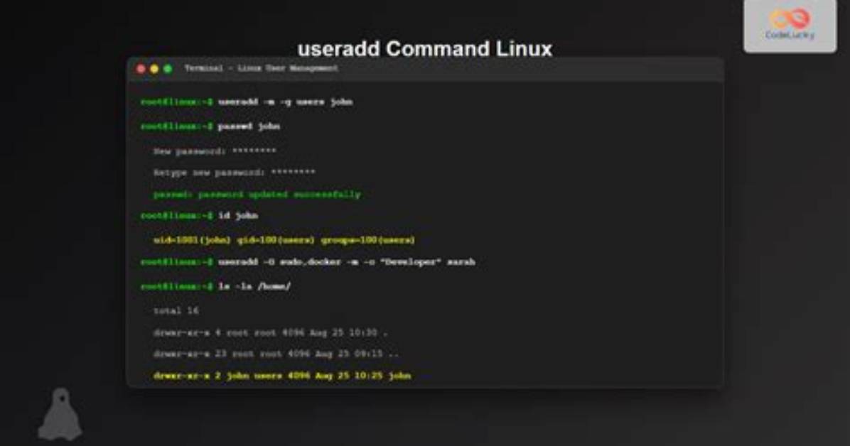 Which Linux Command Will Add a New User with No Password?