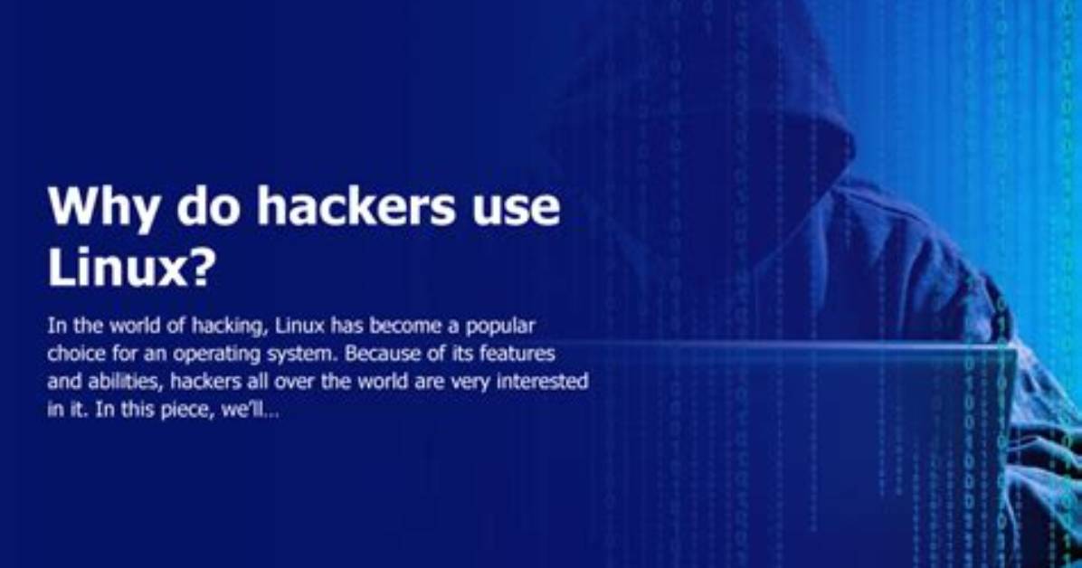 Which Linux Do Hackers Use?