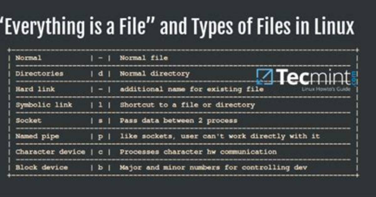 Which Linux File Types Do You Know?