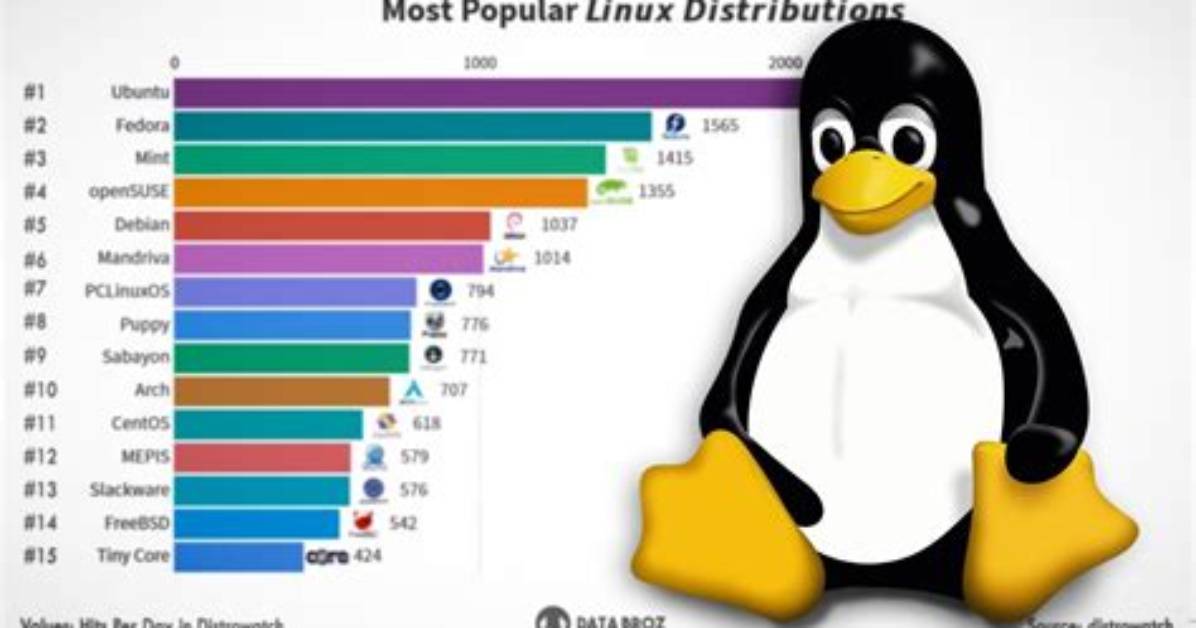 Which Linux Os Is Most Used?