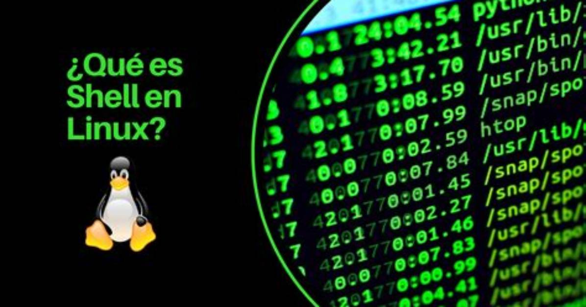 Which Linux Shell Is Best?