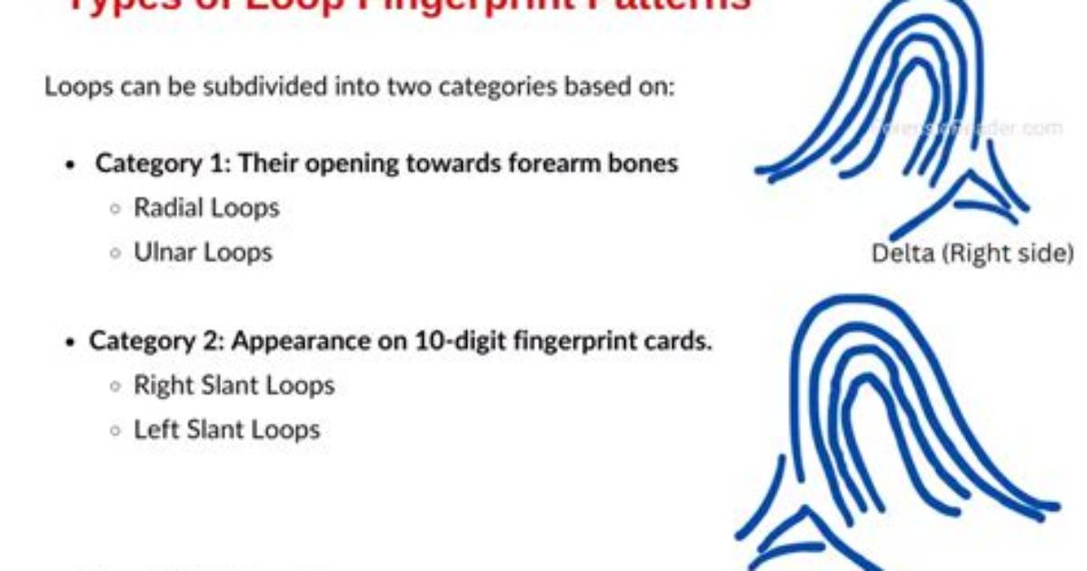 Which Loop Type Is Considered to Be a Post Test Loop?