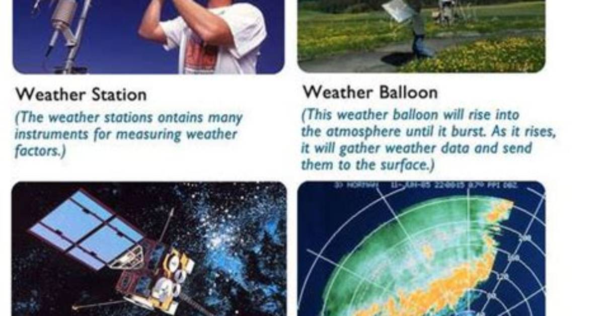Which Meteorologists Collect Weather Data?