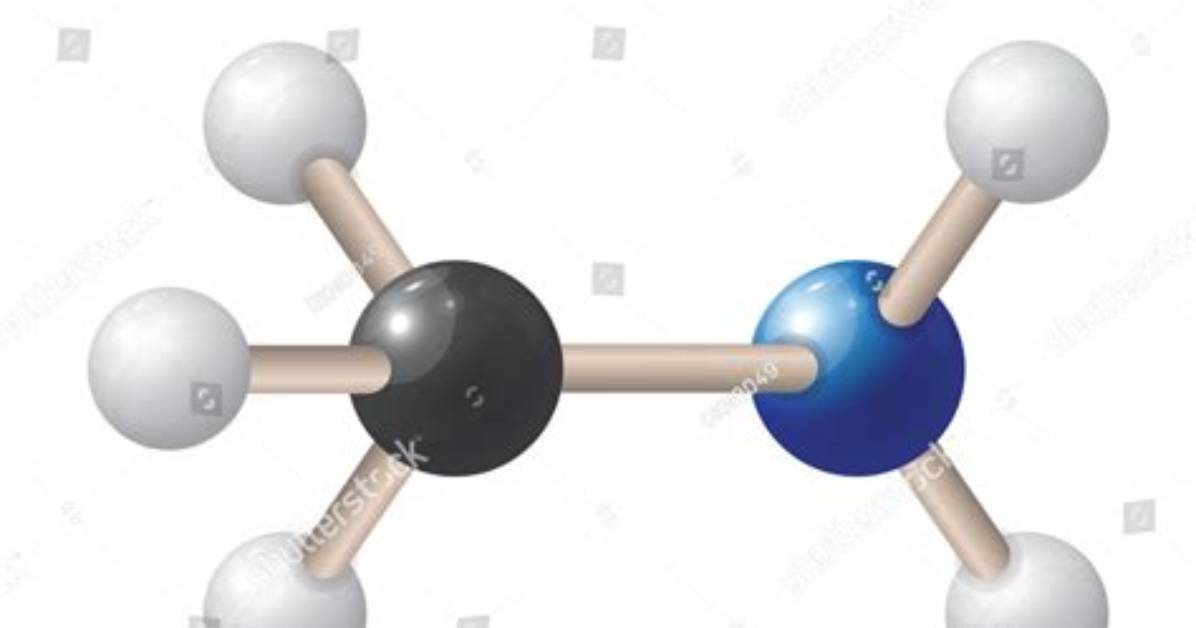 Which Molecule Is Methylamine?