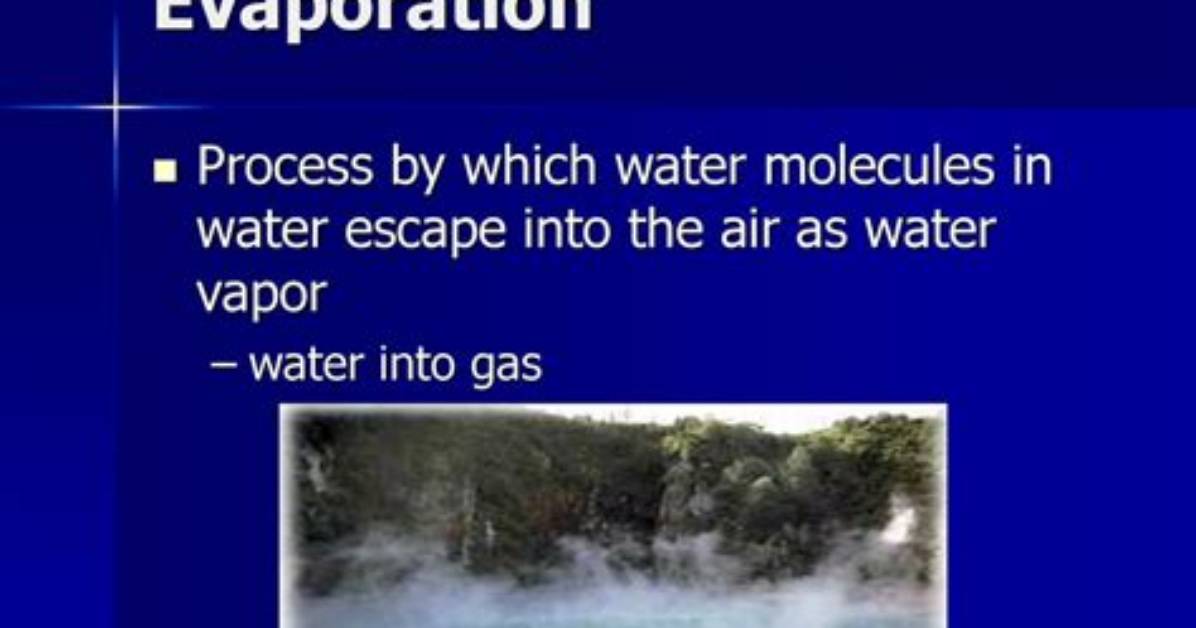 Which Molecules Escape When Water Evaporates?