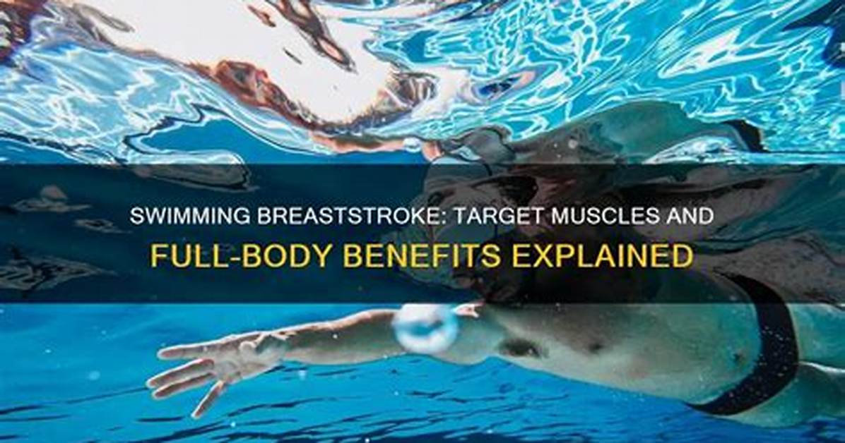 Which Muscles Does Breaststroke Work?