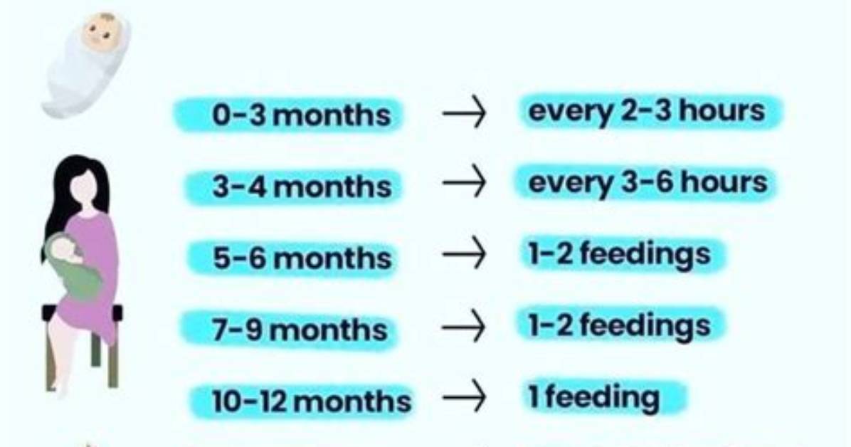 Which Night Feed Should I Drop First?