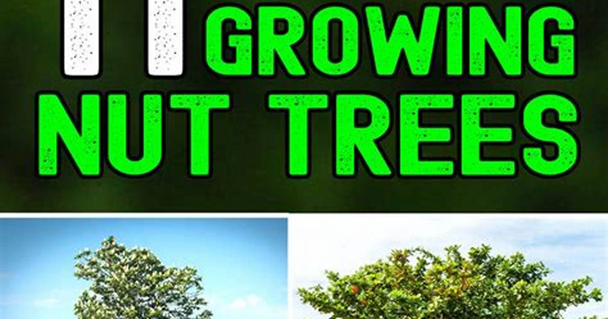 Which Nut Grows Fastest