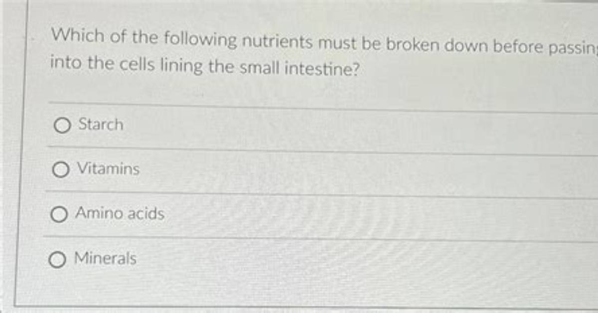 Which Nutrients Must Be Broken Down in Order to Be Absorbed