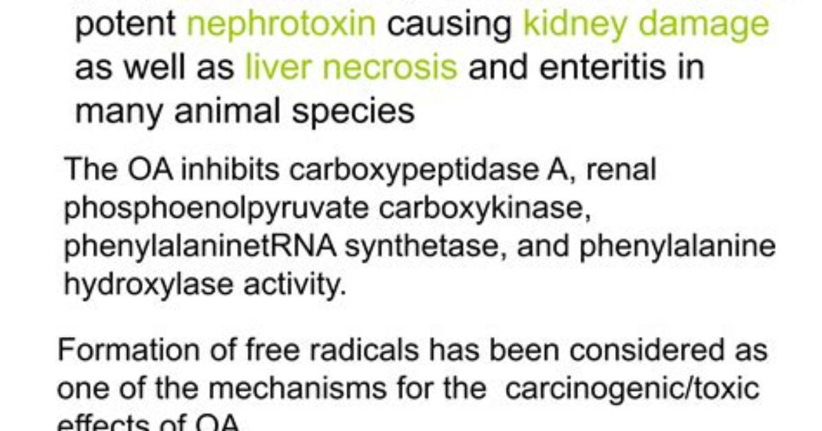 Which One Is Nephrotoxin?