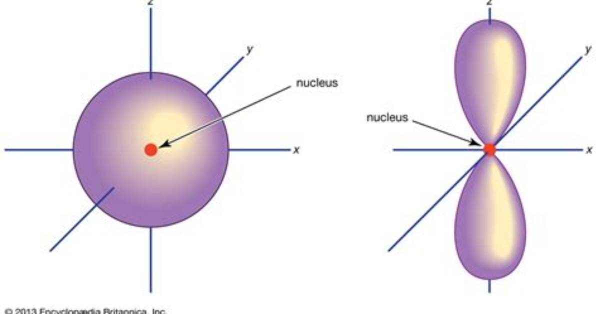 Which Orbital Has Dumbbell Shape?