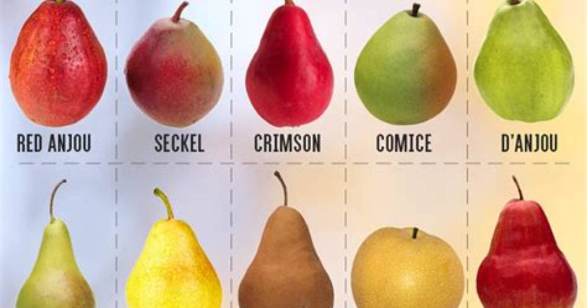 Which Pears Are Soft Sweet