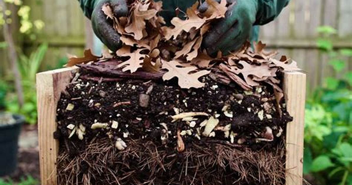 Which Plants Need Ericaceous Compost?