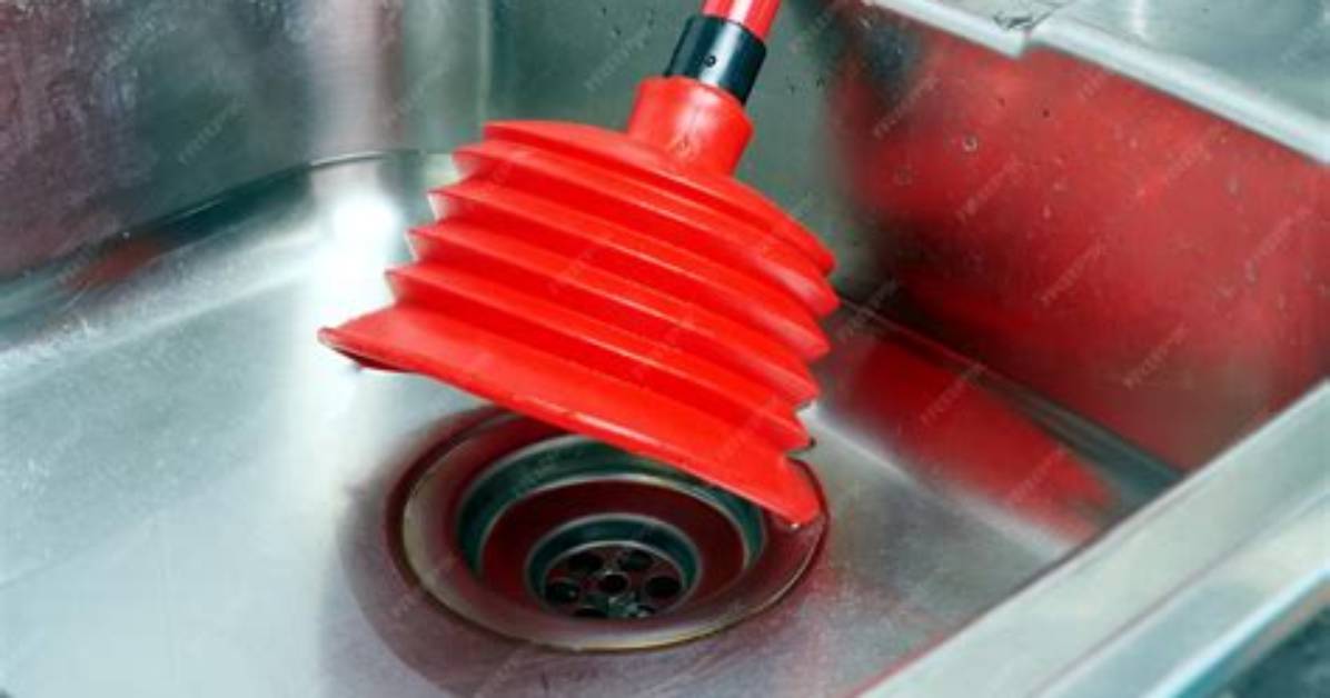 Which Plunger for Sink?
