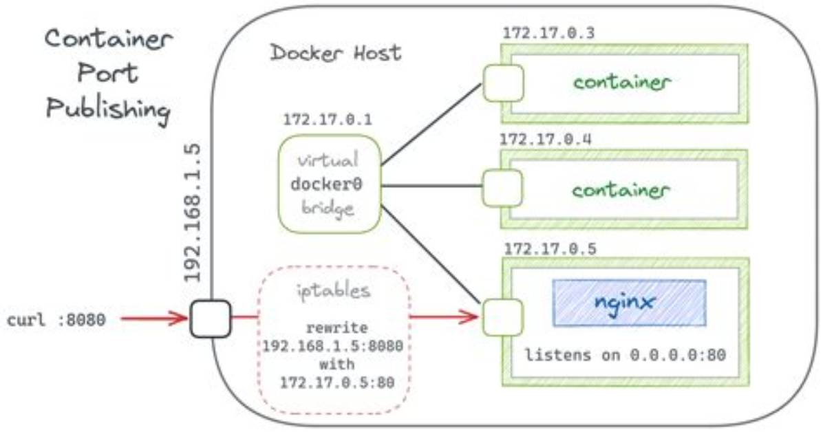 Which Port Is My Docker Container Running on?