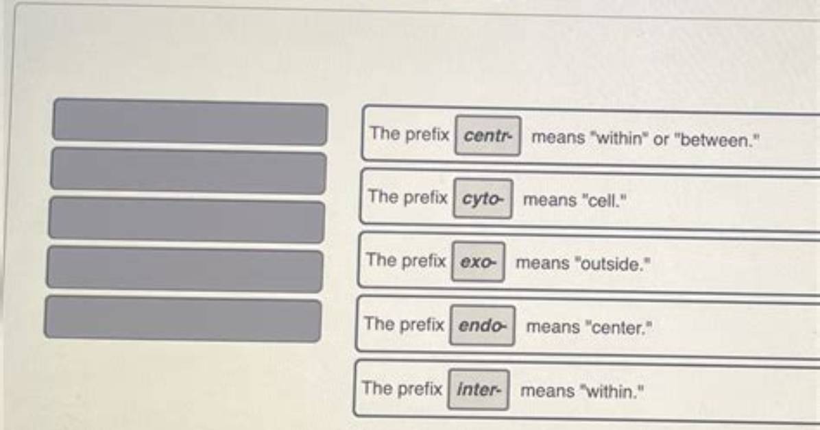 Which Prefix Means Within