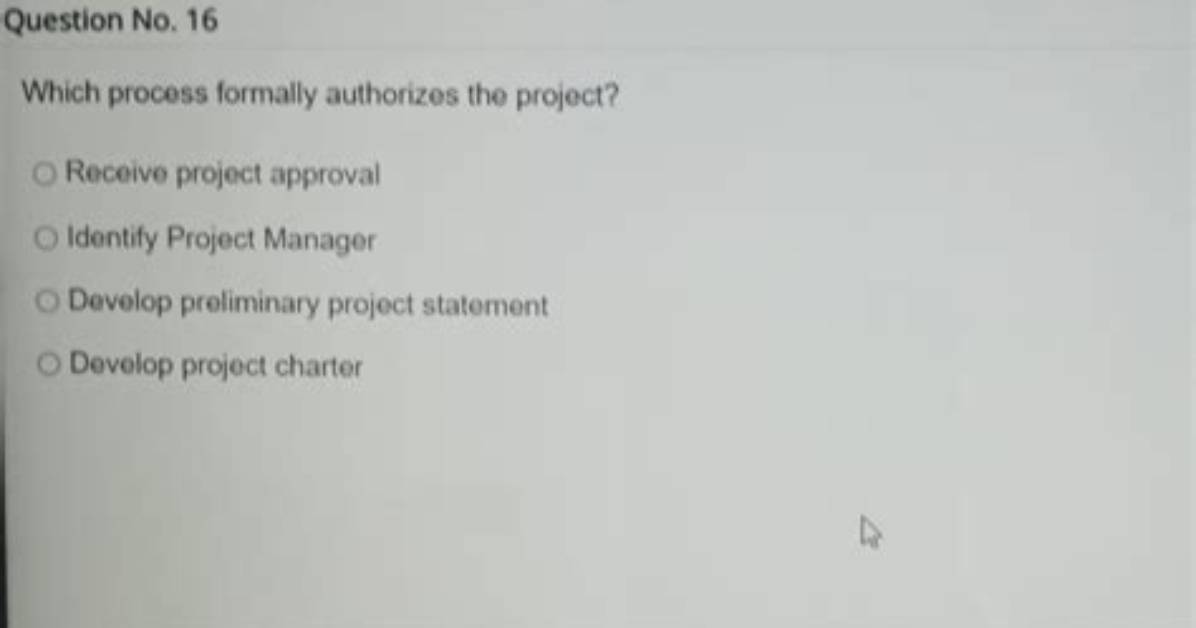 Which Process Formally Authorizes the Project?
