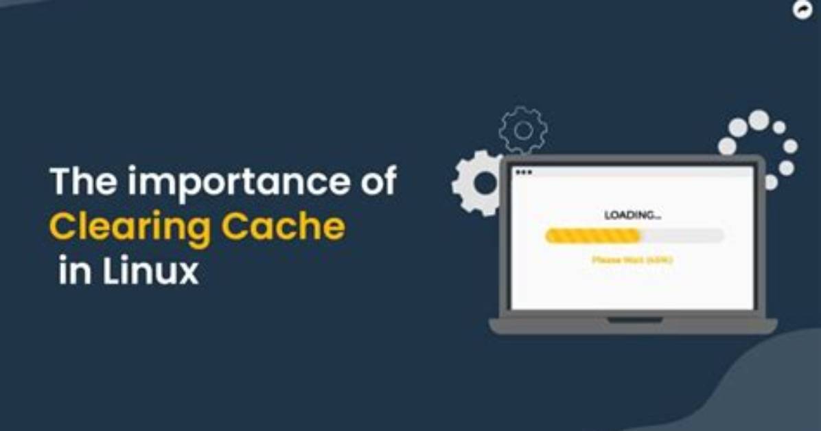 Which Process Is Using More Cache Linux?