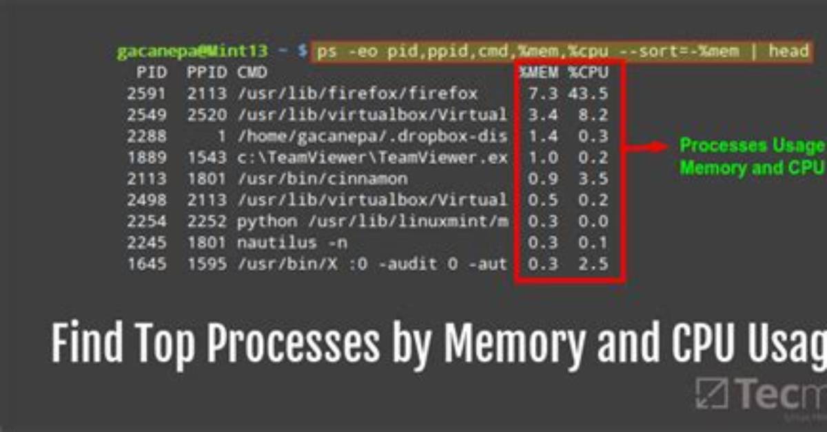 Which Process Is Utilizing More Memory Linux?