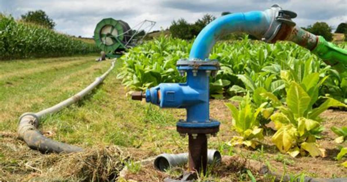 Which Pump Is Used for Irrigation?