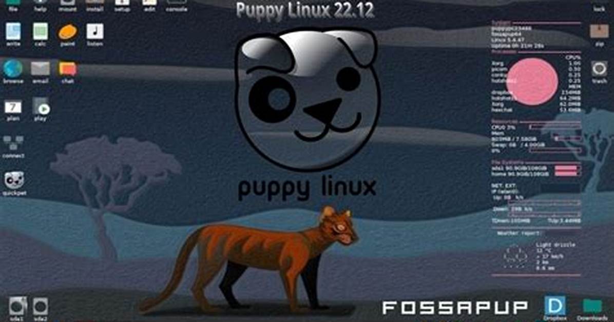 Which Puppy Linux Is Best?