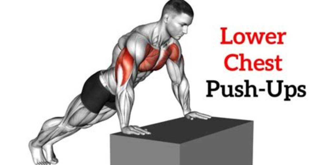 Which Push Ups for Lower Chest?