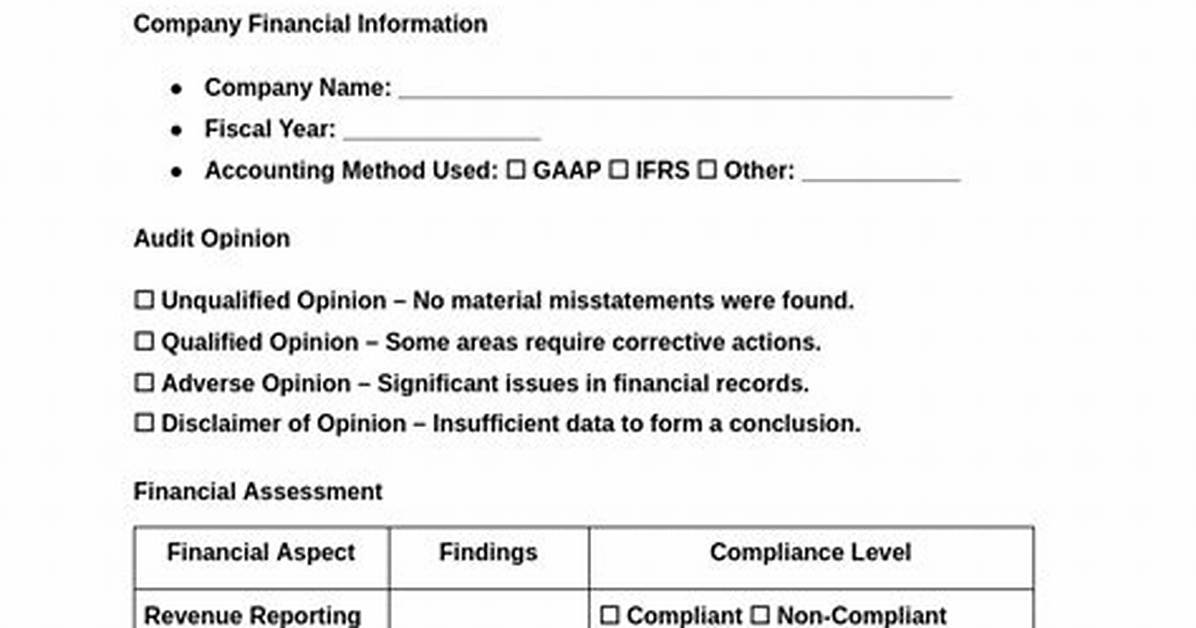 Which Qualified Audit Report?