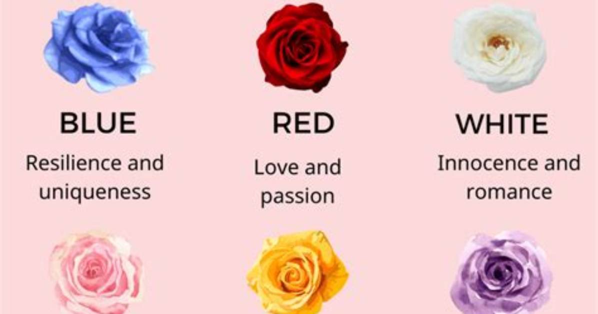 Which Rose Symbolizes Jealousy?