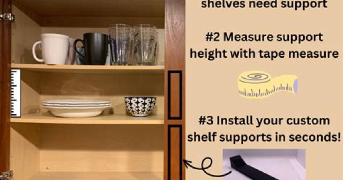 Which Shelf Will Support the Most Weight?