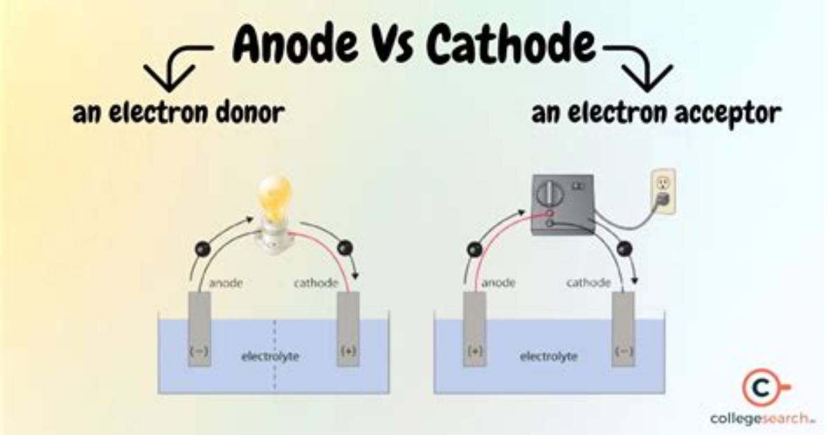 Which Side Is Cathode?
