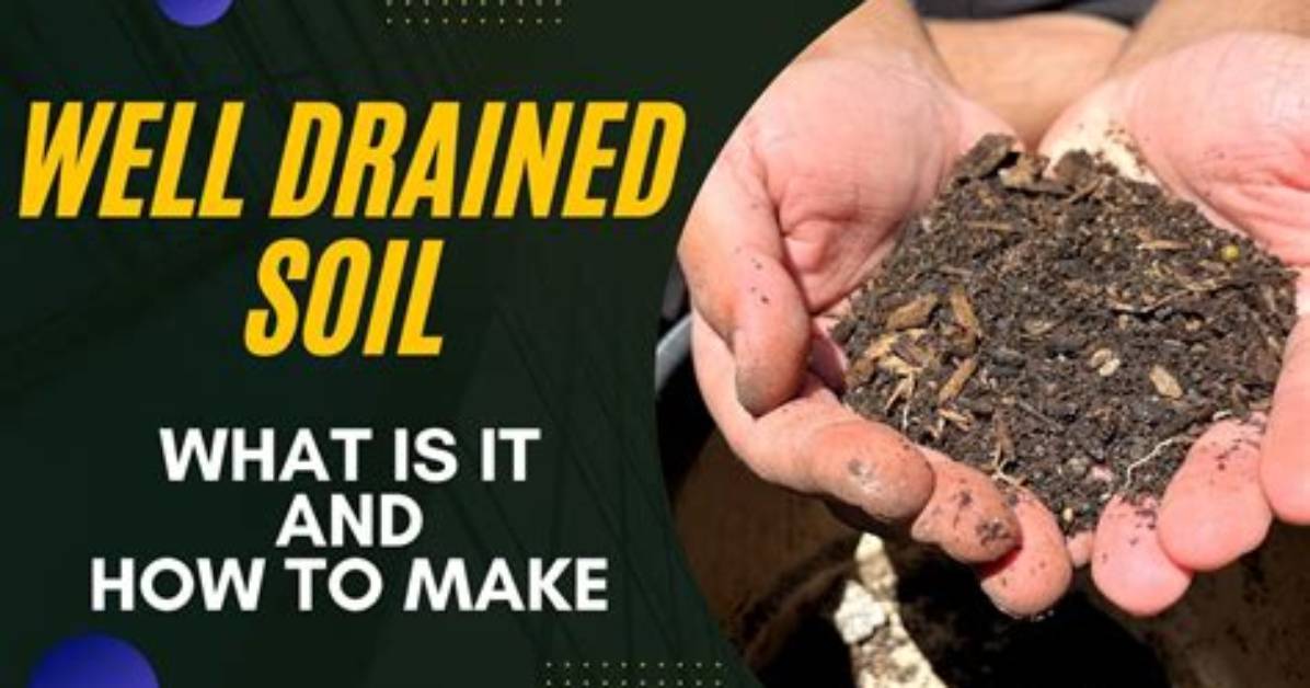 Which Soil Is Well Drained?