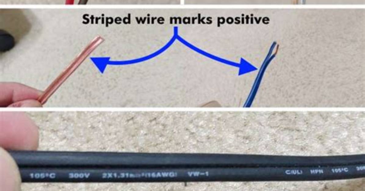 Which Speaker Wire Is Positive?