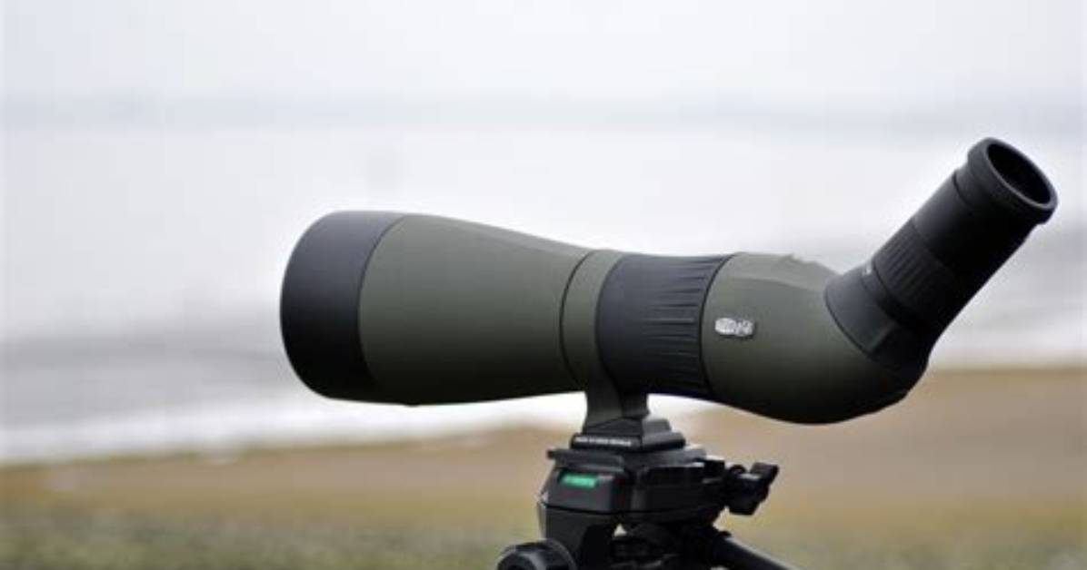 Which Spotting Scope for Birding?