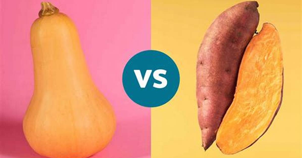 Which Squash Has the Most Potassium