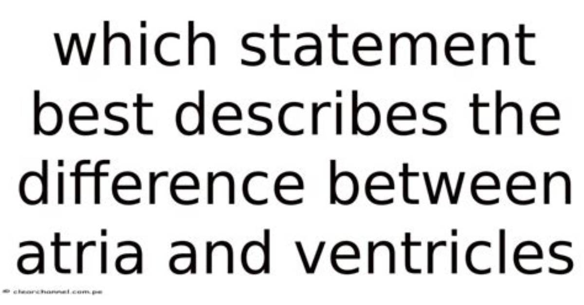 Which Statement Best Describes the Difference Between Xylem and Phloem?