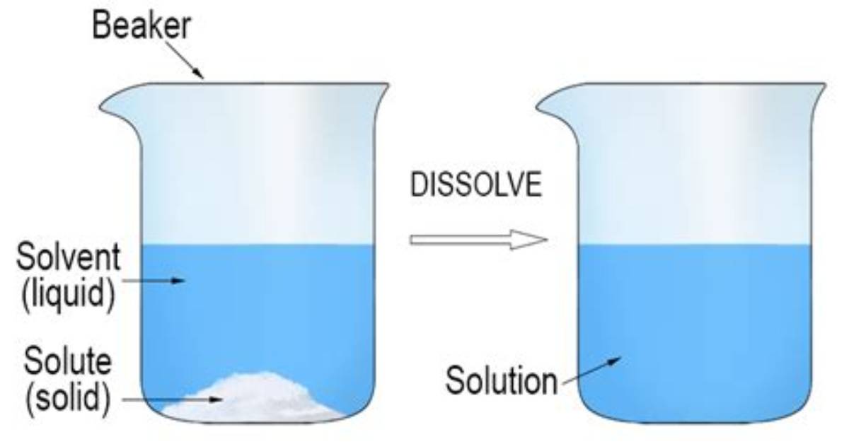 Which Substance Dissolves in Water?