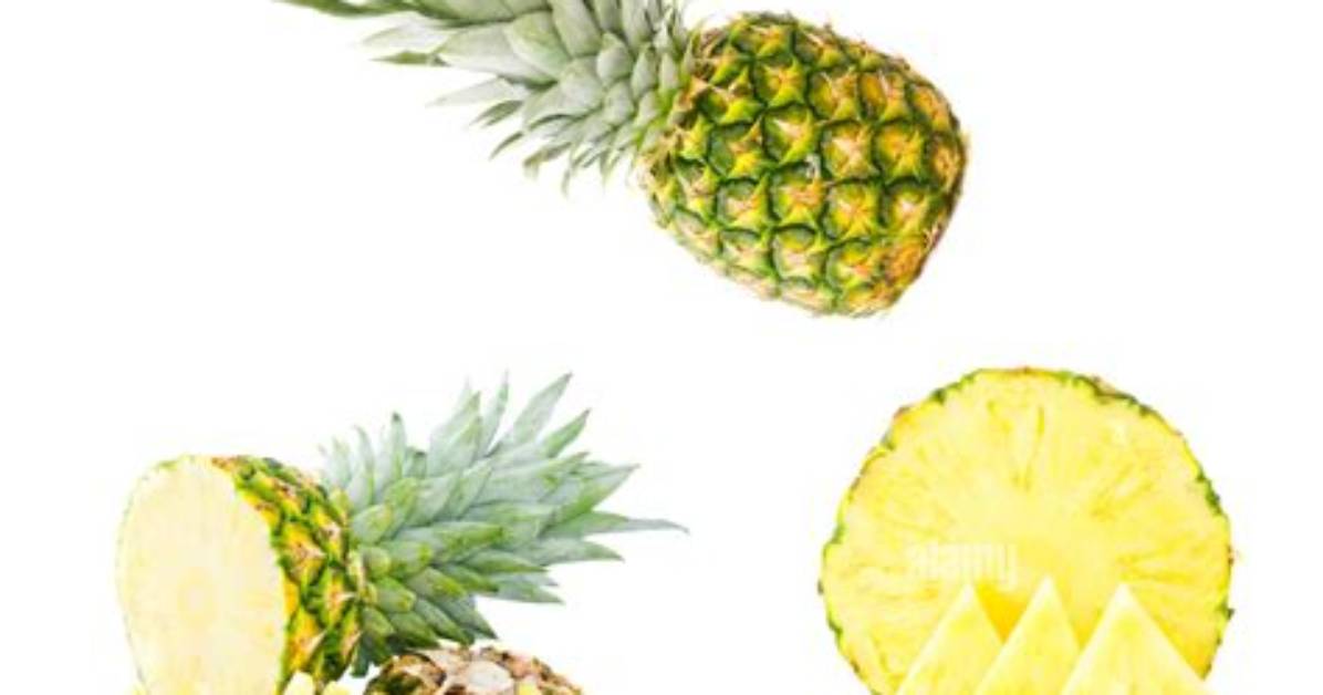 Which Synchronising Fruit Set in Pineapple?