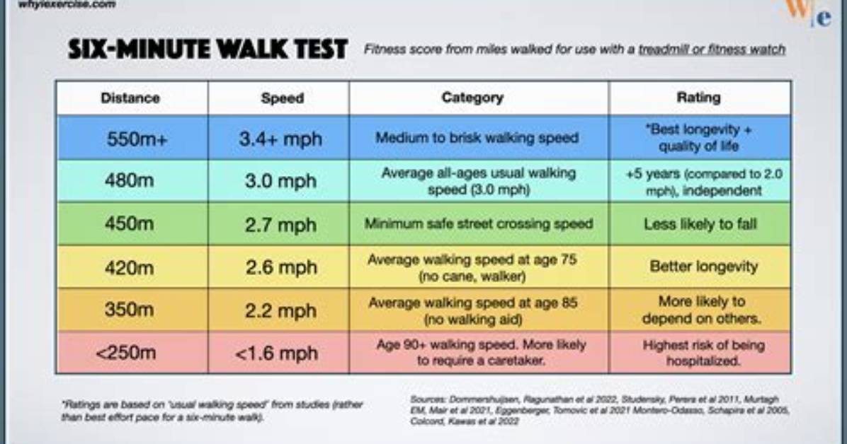 Which Time Is Best for Walking?