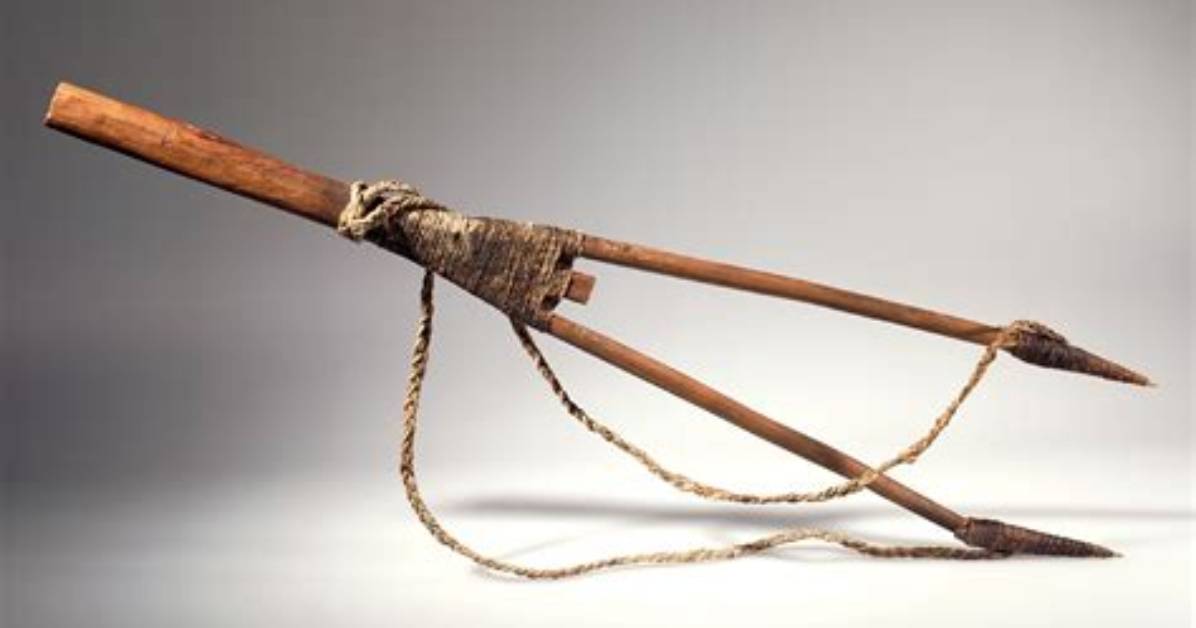 Which Tribe Does Harpoon Use for Hunting?