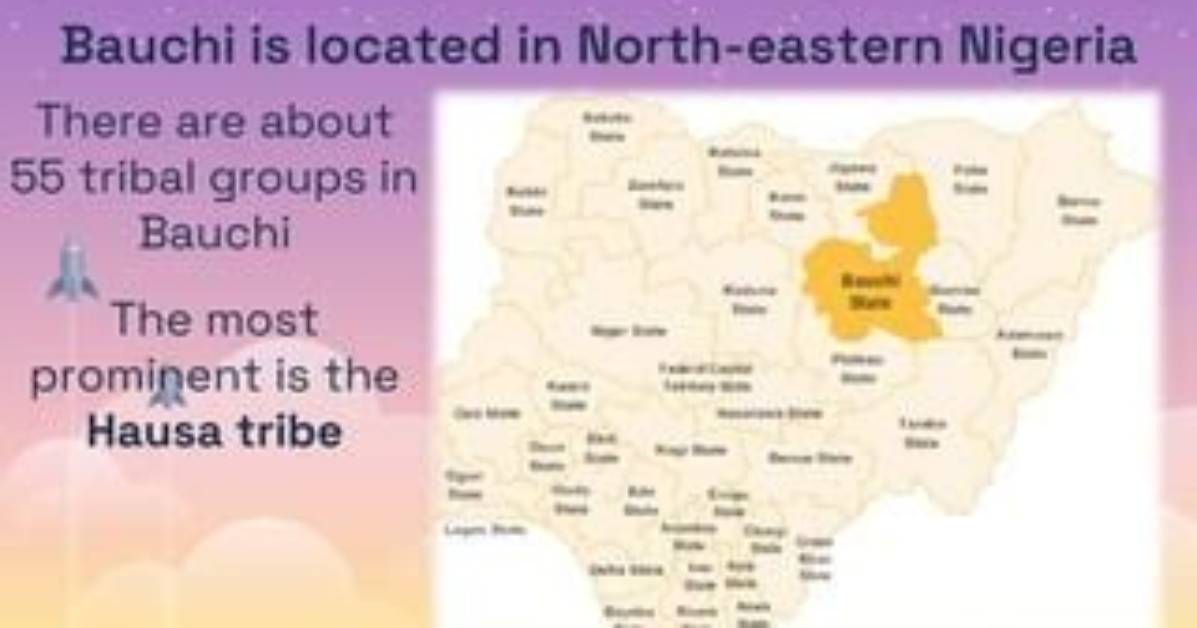 Which Tribe Is Bauchi?