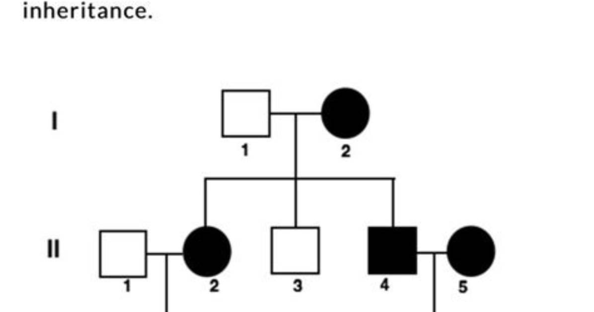 Which Type of Polymorphic Pattern Is Shown by Obelia?