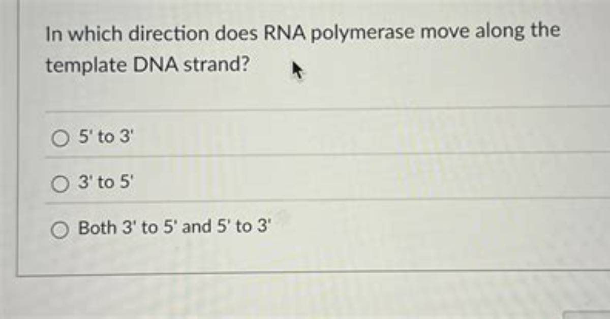 Which Way Does Rna Move