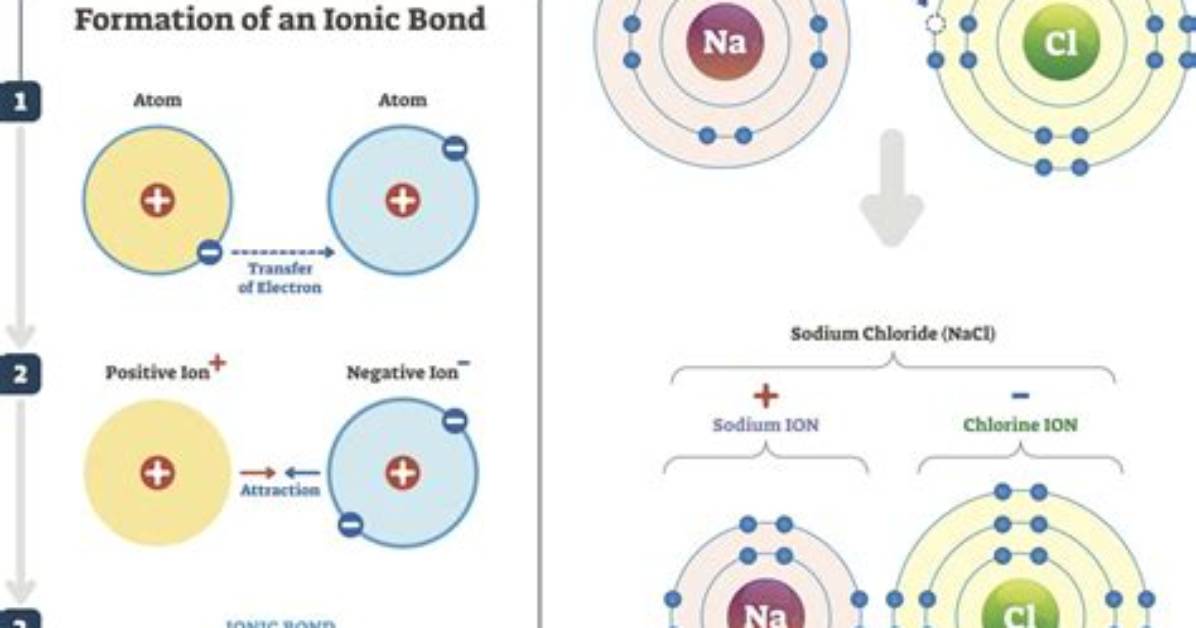 Which Would Form an Ionic Bond with Mg2