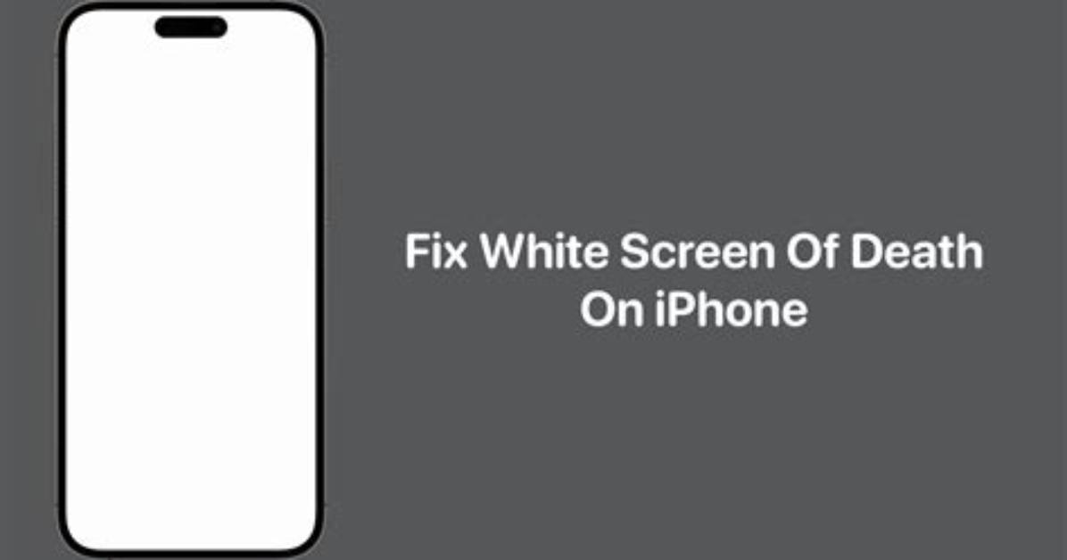 White Screen on Simulator Iphone Xcode